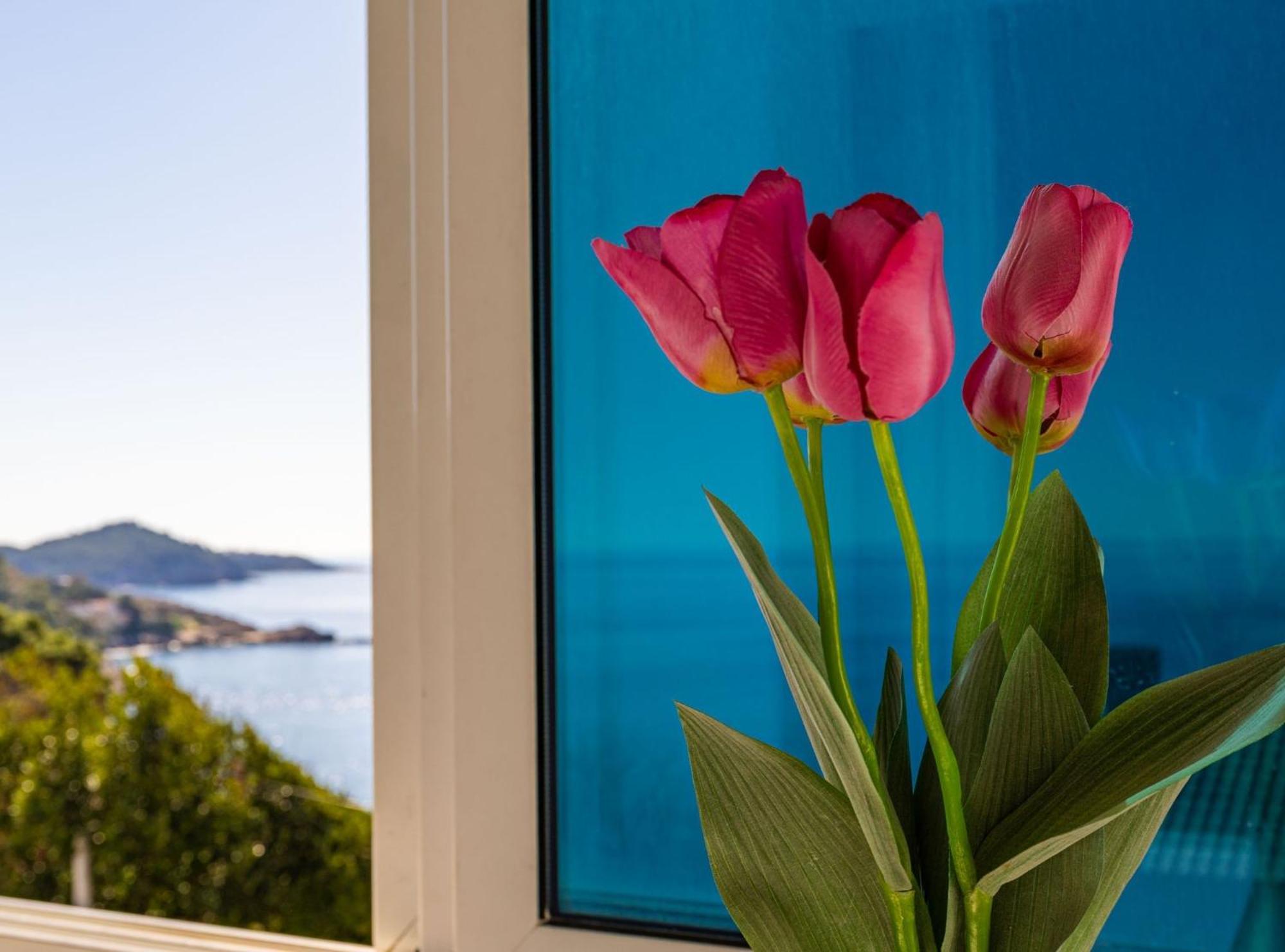 Apartamento Butterfly Dubrovnik